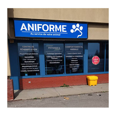 ANIFORME